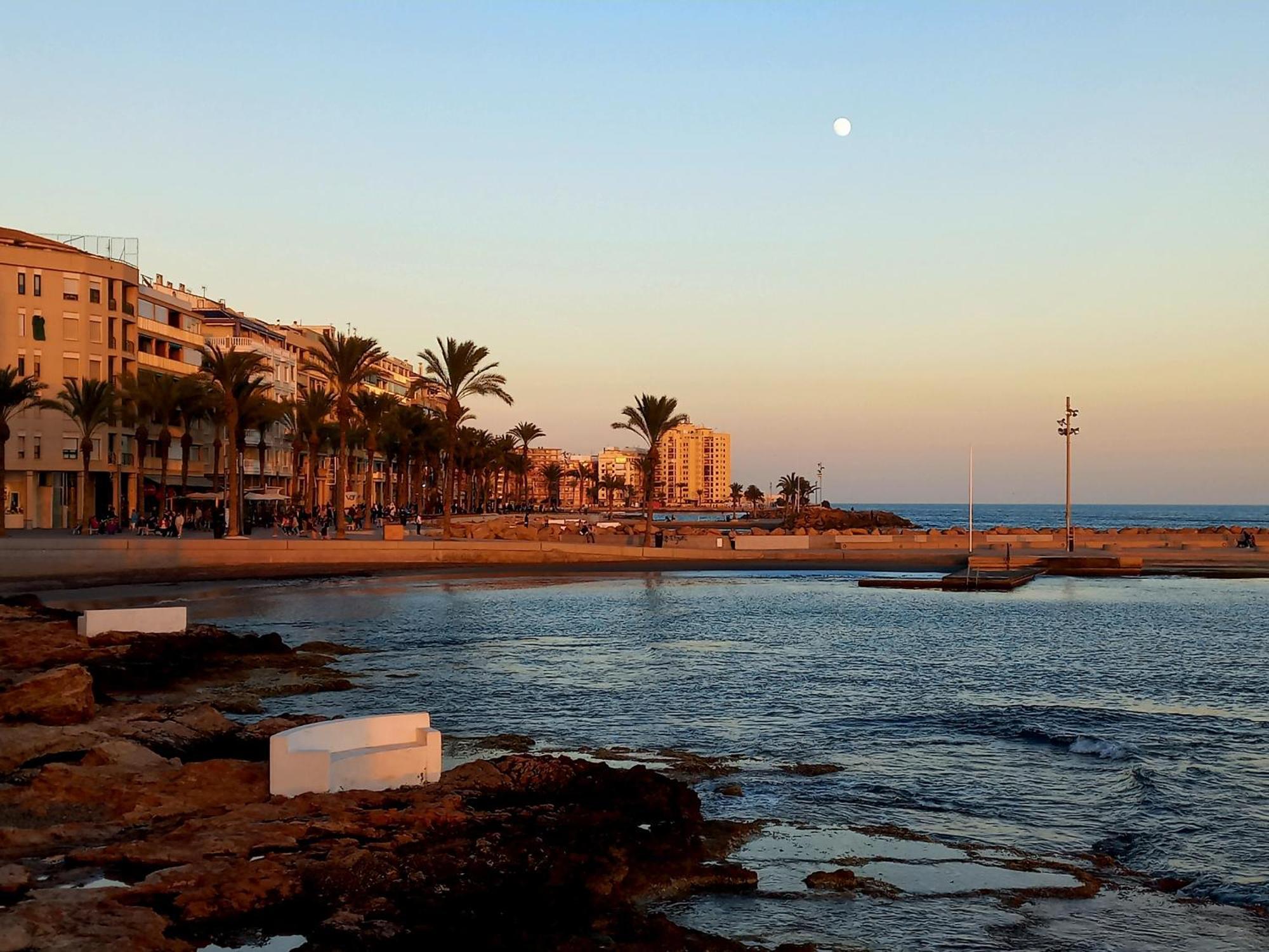 Hola Torrevieja Daire Dış mekan fotoğraf