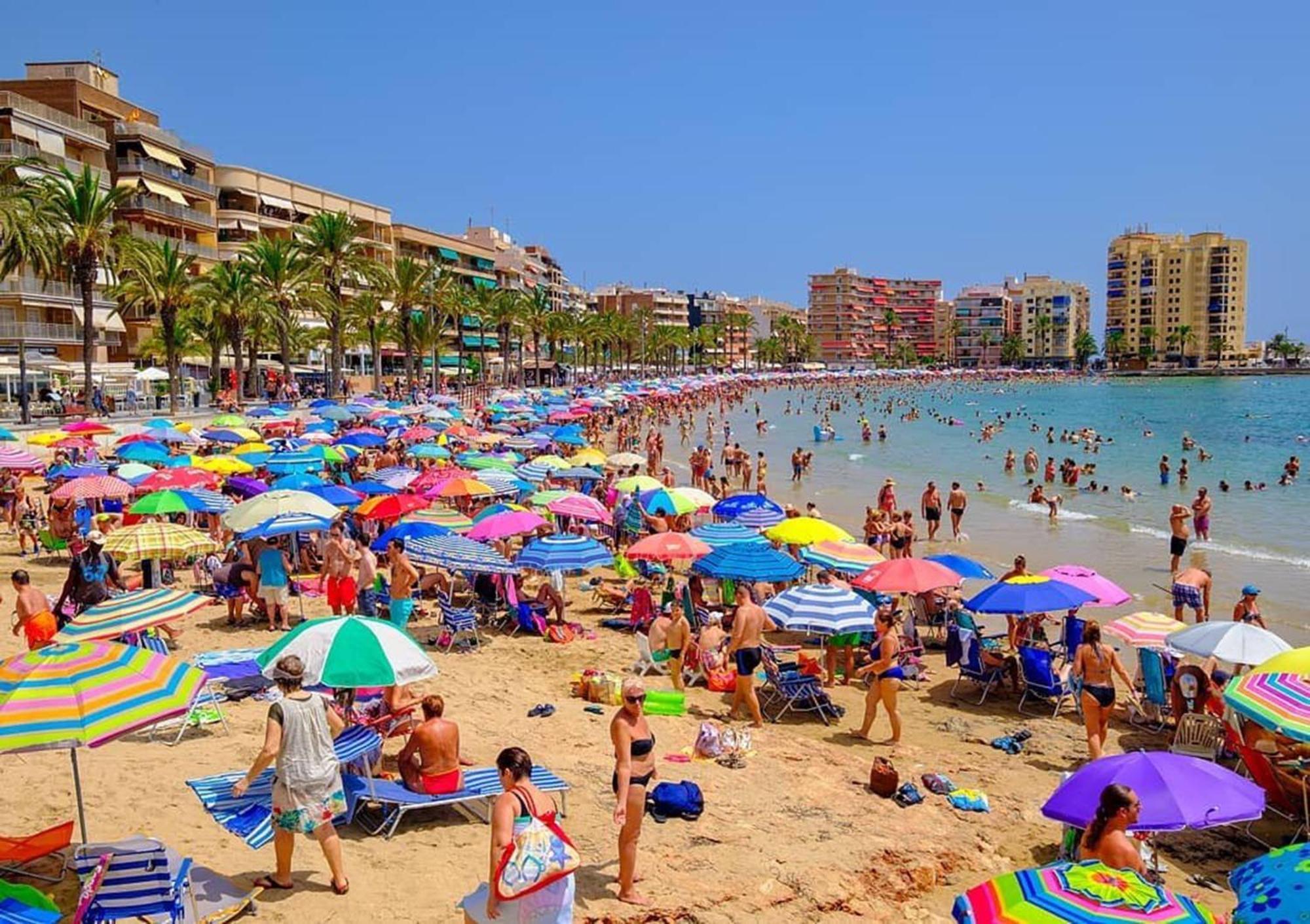 Hola Torrevieja Daire Dış mekan fotoğraf